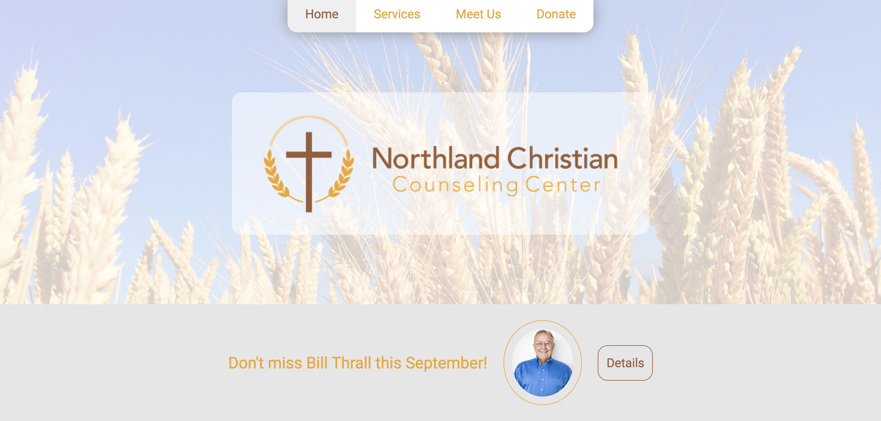 Northland Christian Counseling Center Site Home Page: Part 1